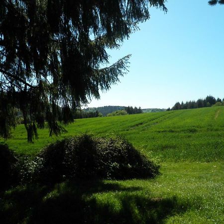 Blick In Die Suedeifel Biersdorf Eksteriør bilde