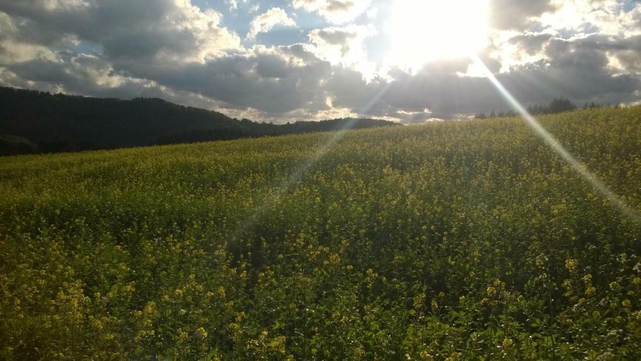 Blick In Die Suedeifel Biersdorf Eksteriør bilde